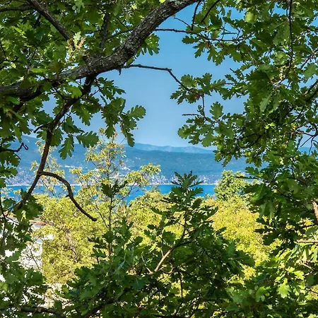 Διαμέρισμα Appartment House Zara Brzac