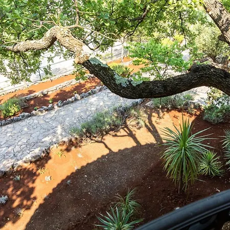 Appartment House Zara *